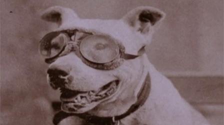 Video thumbnail: Horatio's Drive Bud