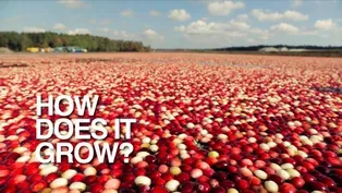 Cranberries