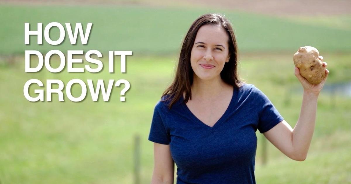How Does It Grow Potatoes Pbs