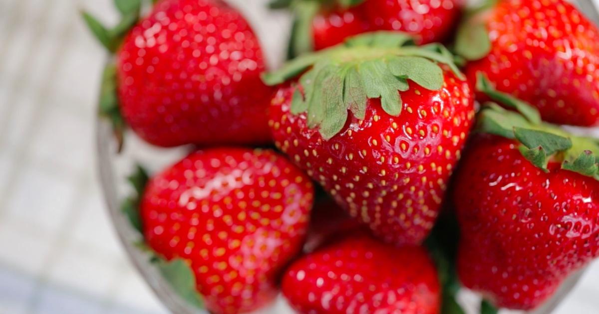 How Does It Grow Why are Strawberry Seeds on the Outside? THIRTEEN