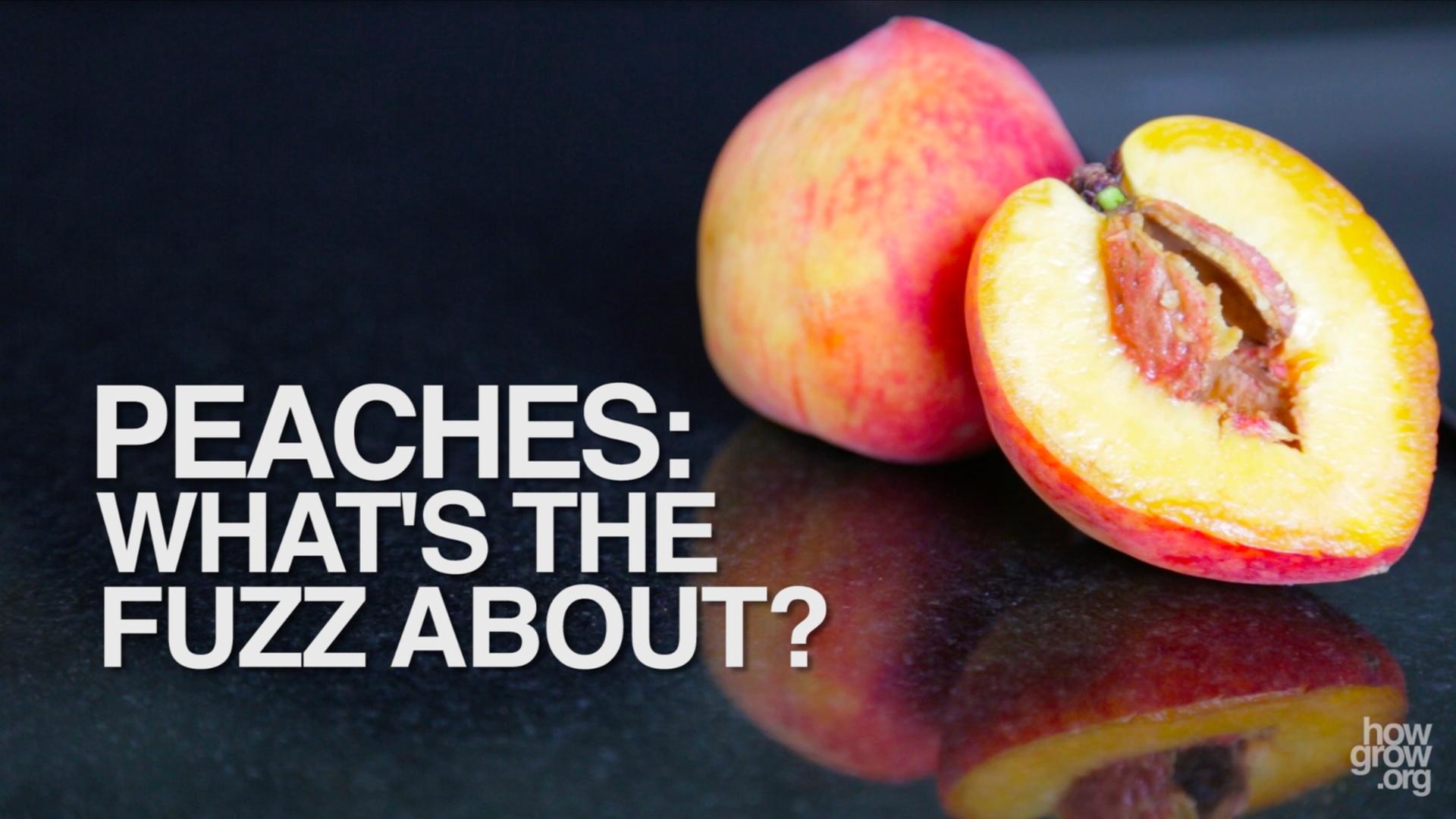 What do peaches symbolize in the bible