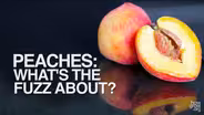 PEACHES: What's the Fuzz About?