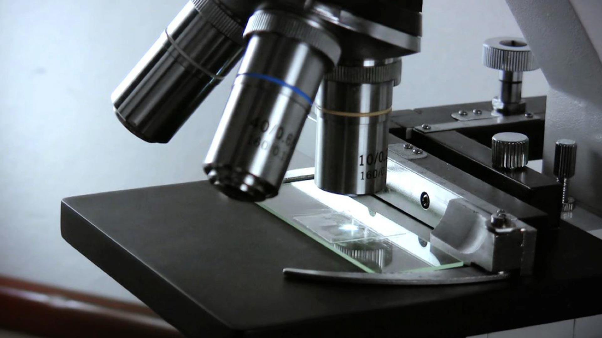 The Invention of the Microscope and Telescope How We Got to Now