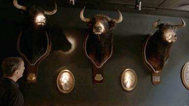 Bonus Scene: Bar Canete's Bulls