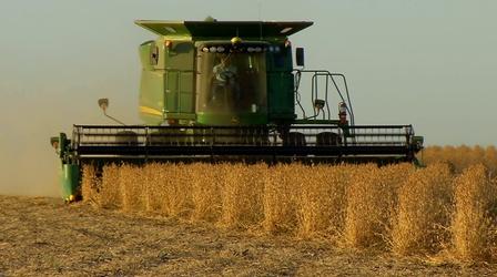 Video thumbnail: In Defense of Food The Government's Role in Our Food System