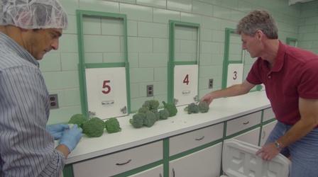 Video thumbnail: In Defense of Food Web Extra: Broccoli Man
