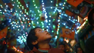 Coming to Independent Lens: Happiness