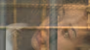 Me Facing Life: Prison Reflections