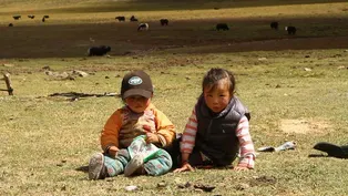 Summer Pasture: Education is a Priority