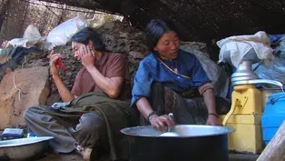 Summer Pasture: Connected by Karma, Two Tibetan Nomads Becom