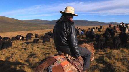 Video thumbnail: Independent Lens Summer Pasture: All Seasons Define the Lives of Tibetan Noma