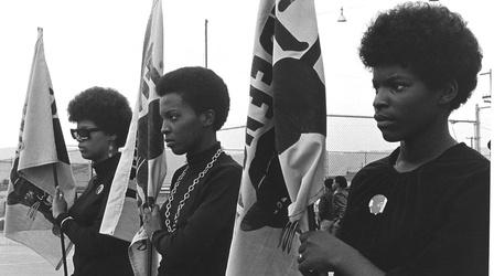 Video thumbnail: Independent Lens The Black Panthers - Trailer
