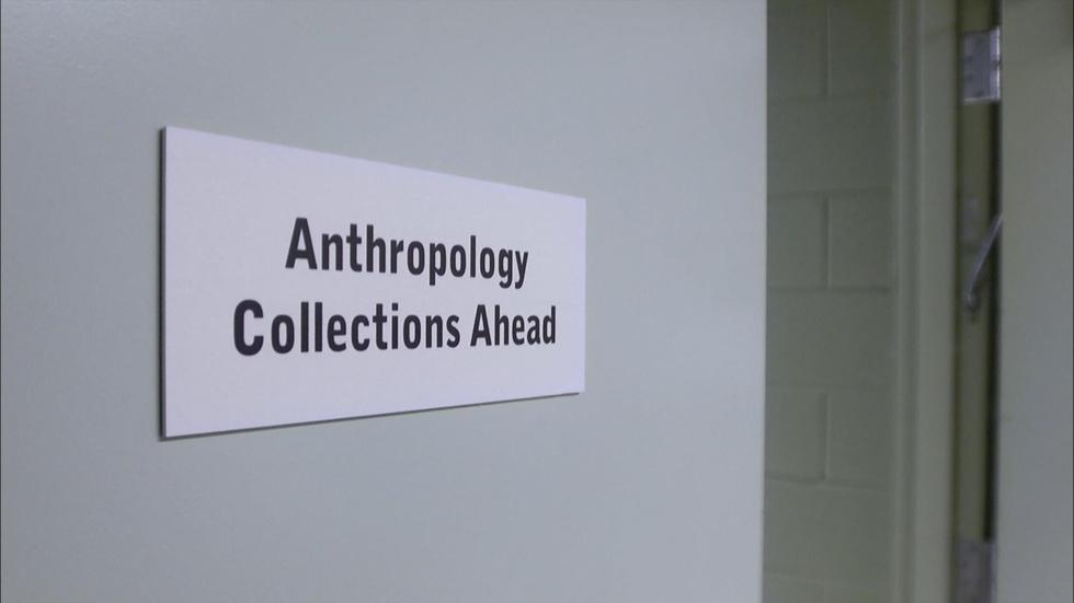 What Was Ours - Artifacts at the Field Museum - Clip image