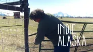 I am a Musk Ox Farmer