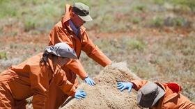 Video thumbnail: Inside Nature's Giants Episode 6 Preview | Camel