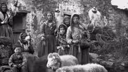 Birds of Passage