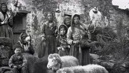 Birds of Passage