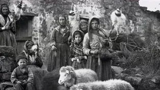 Birds of Passage