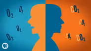 Carbon and Oxygen and You: Explained