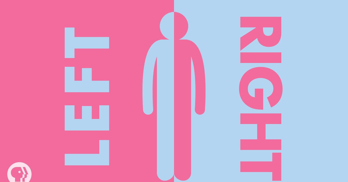 Be Smart | How Your Body Knows Left From Right | Season 2 | Episode 40 ...
