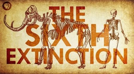 Video thumbnail: Be Smart The Sixth Extinction