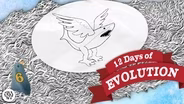 Evolution Is Dumb - 12 Days of Evolution #6