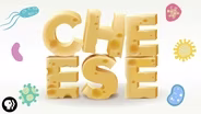 The Delicious Science of Cheese
