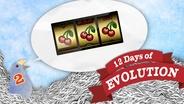 12 Days of Evolution Collection, Be Smart