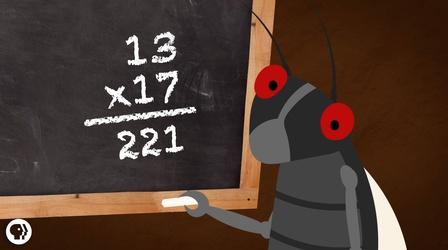 Video thumbnail: Be Smart Why Are Cicadas So Good At Math?