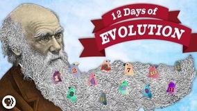 12 Days of Evolution