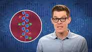 Is Epigenetic Inheritance Real?