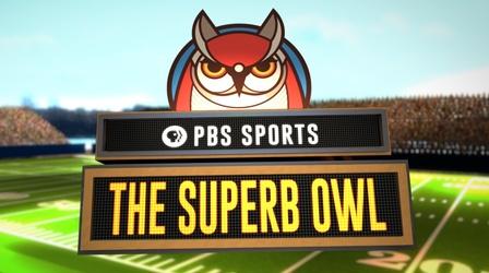 Video thumbnail: Be Smart The Superb Owl!