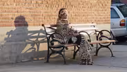 Bottle Return and a Flower Stand in Jackson Heights