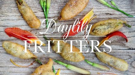 Video thumbnail: Kitchen Vignettes Daylily Fritters