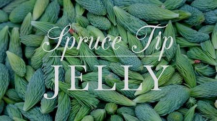 Video thumbnail: Kitchen Vignettes Spruce Tip Jelly