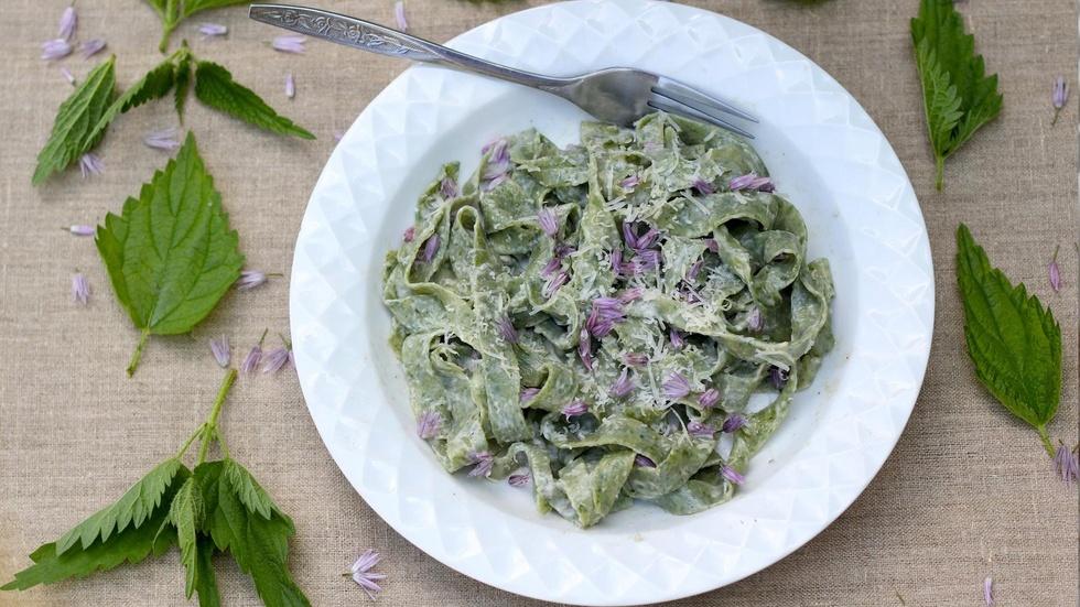 Nettle Fettuccine Alfredo image