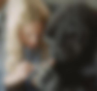 Koko - The Gorilla Who Talks