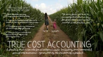 True Cost Accounting: The Real Cost of Cheap Food image