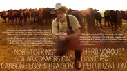 Grass Fed