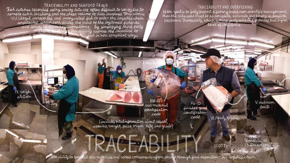 Traceability image