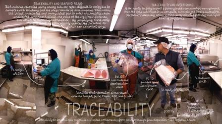 Video thumbnail: The Lexicon of Sustainability Traceability