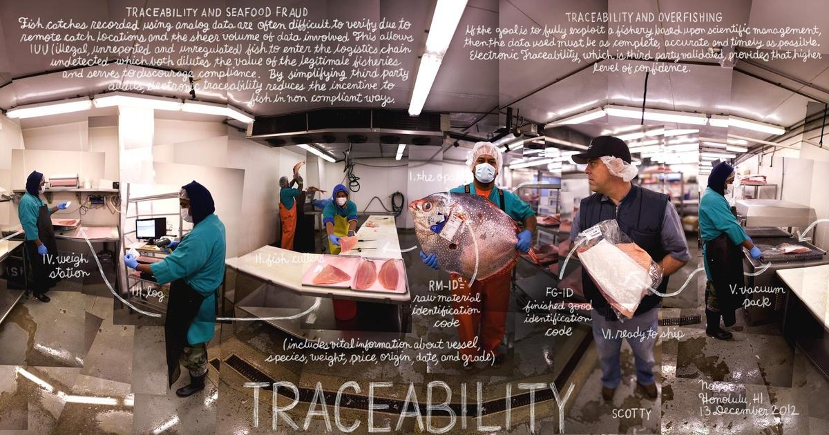 The Lexicon Of Sustainability Traceability Episode 13 Pbs
