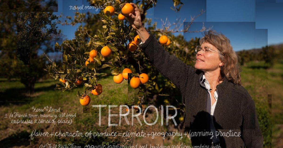 The Lexicon Of Sustainability Terroir Episode 14 Pbs