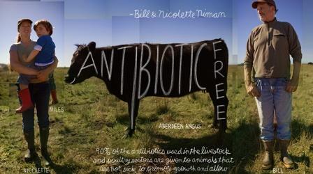 Video thumbnail: The Lexicon of Sustainability Antibiotic-Free