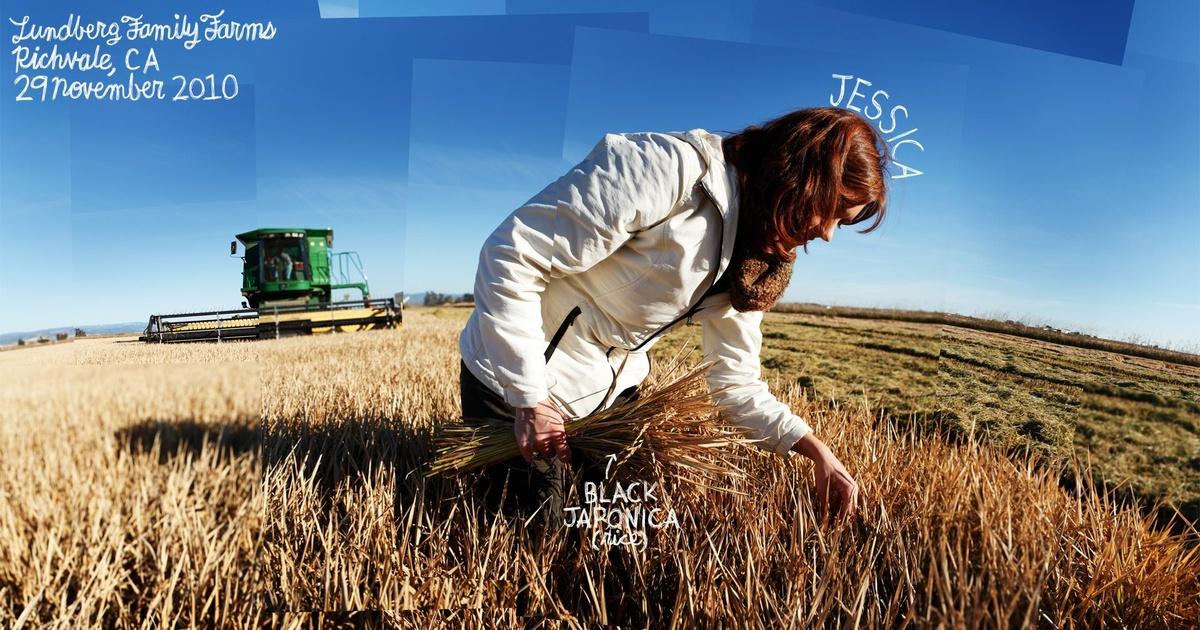 The Lexicon Of Sustainability Gmos Episode 18 Pbs