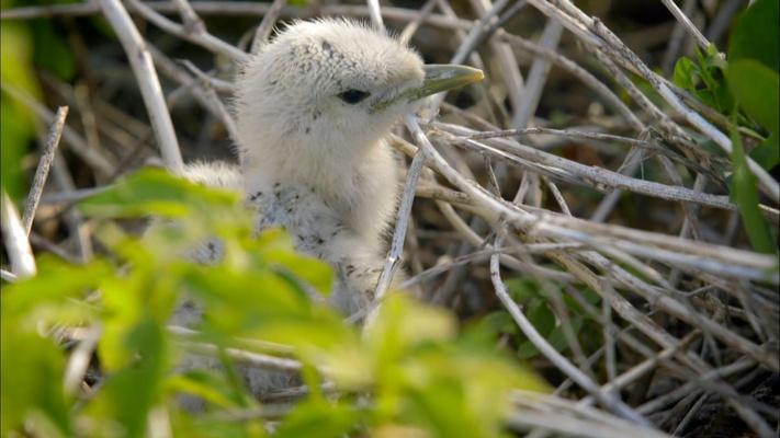 Episode 3: asset-mezzanine-16x9