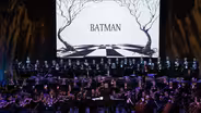 Bats, Cats and Penguins