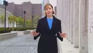 Suzanne Vega on Dirty Blvd.