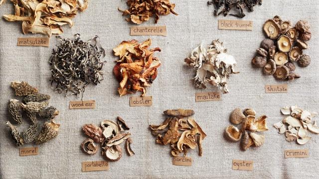 Martha Stewart's Cooking School | Mushrooms