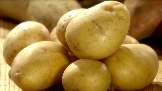 What Potato Makes the Best Mashed Potato?